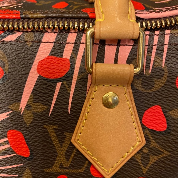 SOLD!!! Authentic Louis Vuitton Jungle Speedy 30 - Picture 11 of 16